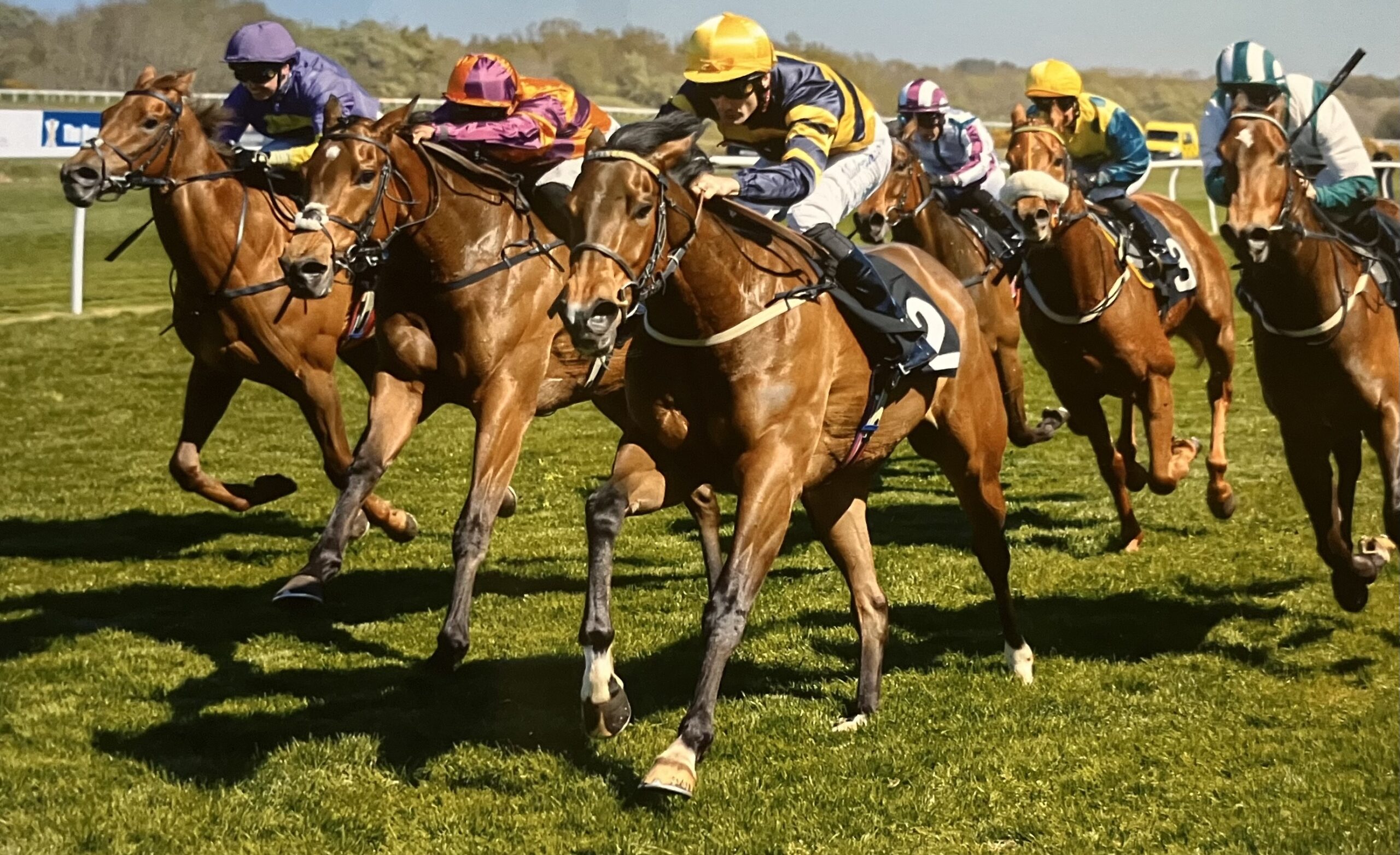 Fille Unique wins at Musselburgh