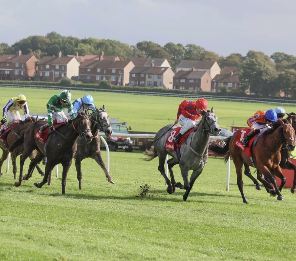 Station X wins the Ayr Silver Cup