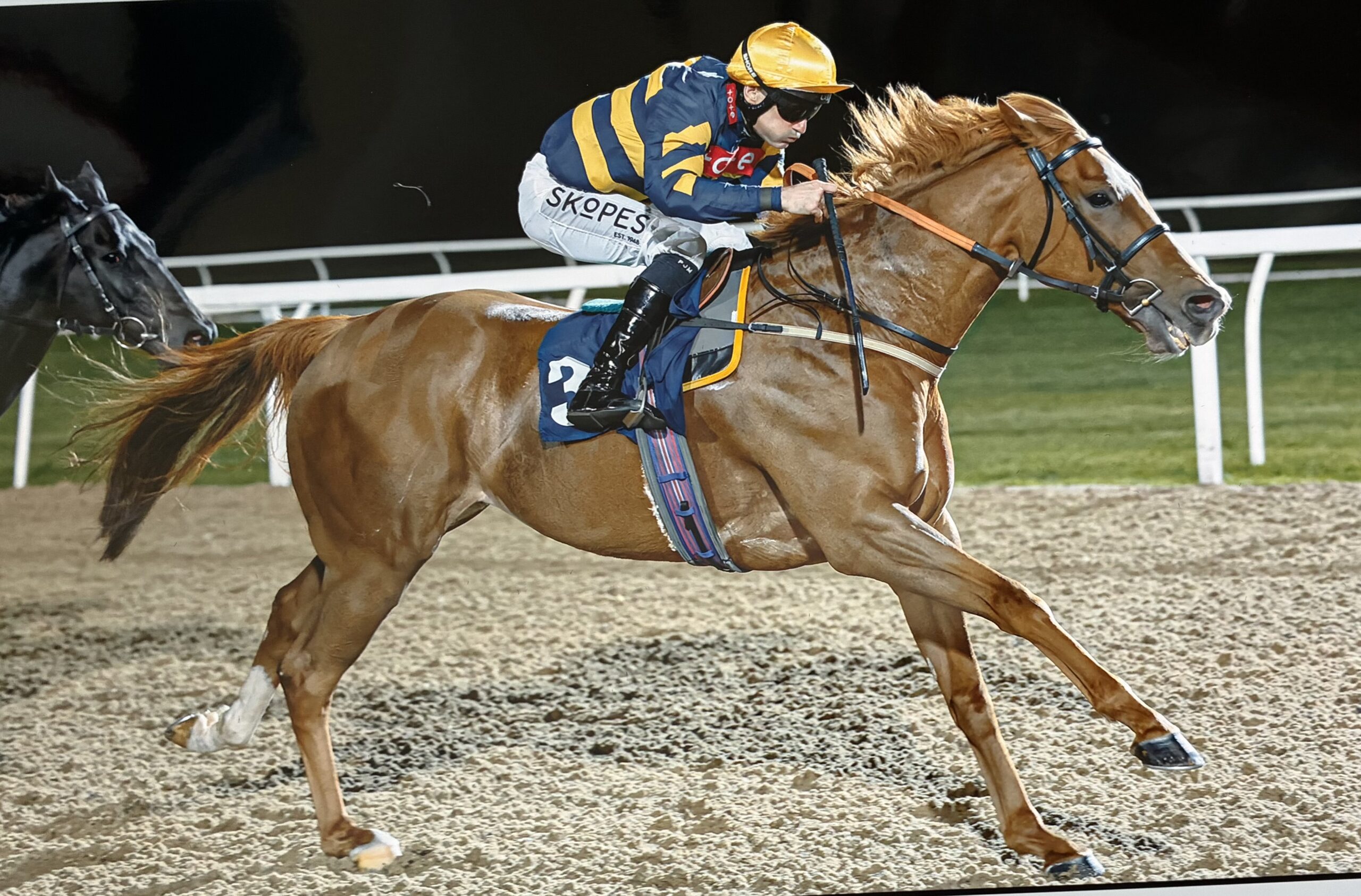 Blazing Son records his 8th career win